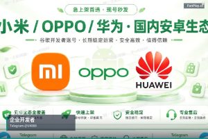 谷歌企业开发者账号｜GooglePlay谷歌纯企业开发者账号 …