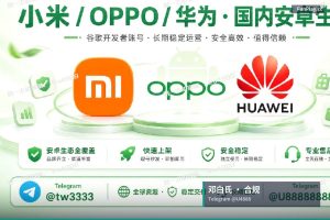 邓白氏编码申请｜谷歌企业开发者账号 DUNS 企业资料邓白氏资料（4）