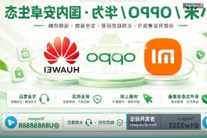 苹果开发者账号申请｜实现您的开发梦想：购买苹果与谷歌开发者账号，满足各种个人、公司、企业需求，享…