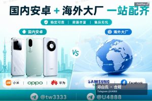 邓白氏编码申请｜苹果与谷歌开发者账号：个人、公司与企业服务购买，支持邓白氏官方查询