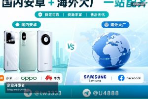 2024最新谷歌企业开发者账号SP版本