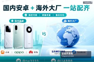 购买苹果和谷歌开发者账号：适用于个人和企业