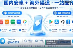 苹果开发者账号申请|Google Apple iOS 开发者账号直供(2)