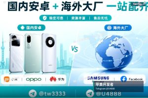 苹果开发者账号申请｜Google Play & Apple iOS 开发者账号直供（2）