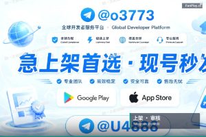 正式上架前最后一次应该怎么全面自查：开发者账号、应用包体、商店资料、权限声明…