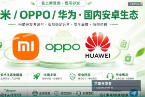 苹果开发者账号交接后第一周怎么操作？避免风控和资料异常的实用建议