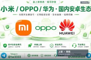 Google Play开发者账号｜2026年谷歌开发者账号购买与安全上架完整指南（最新版）（2）